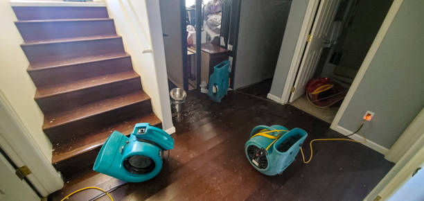 Best Water damage mitigation services  in Perry, MI