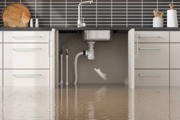 Water damage restoration mold remediation in Perry, MI