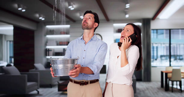 Best Water damage restoration mold remediation  in Perry, MI