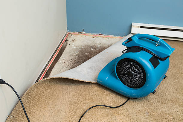 Reliable Perry, MI Water damage restoration Solutions
